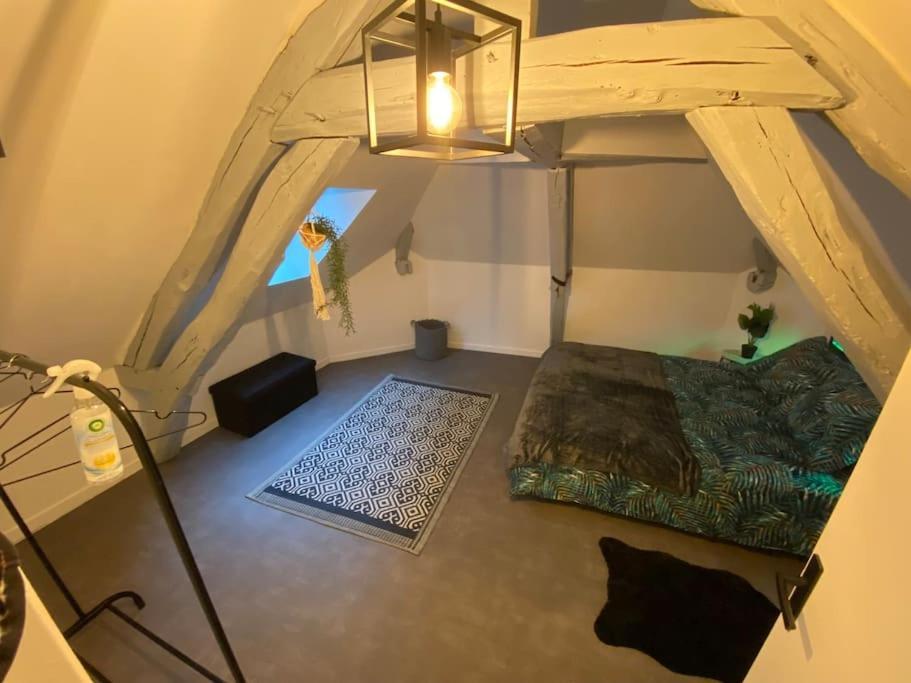 Super Appartement T3 Proche Gare 상스 외부 사진